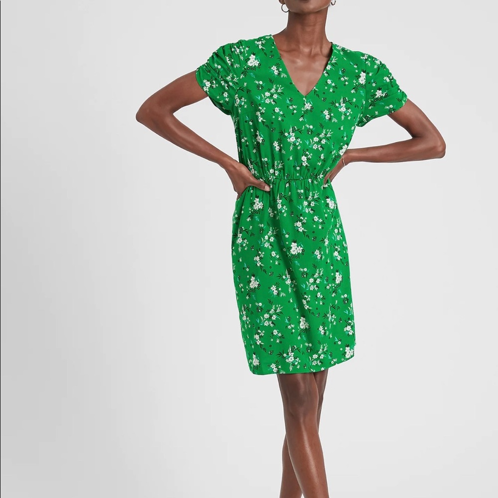 🍀NWT Banana Republic Green Fit and Flare Dress M
